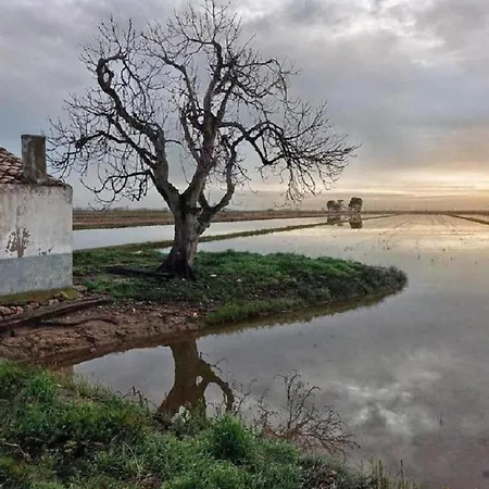 Dertosa
