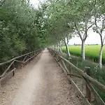 Dertosa * 托尔托萨