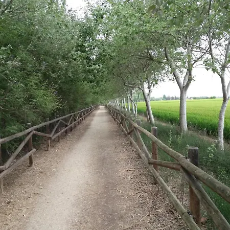 Dertosa * トルトーザ